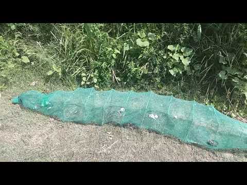 Видео: Как поставить раколовку с лодки! Китайская раколовка гармошка и чеснок.