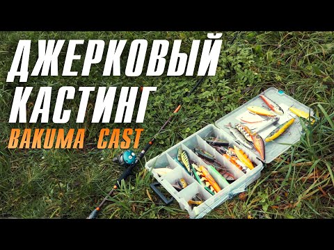 Видео: Кастинговый спиннинг Surf Master Bakuma Cast для джига и джерков / обзор / Евгений Атрахимович