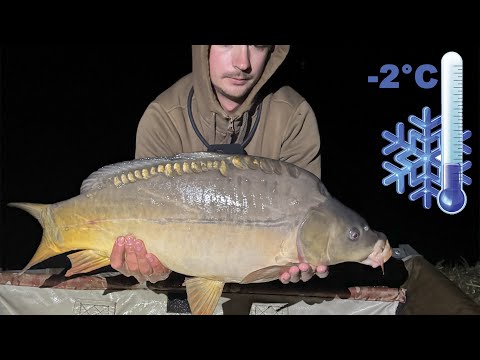 Видео: ❄️Ловимо в мороз! Озеро Едельвейс — риболовля з новим Rod Pod від Bounty 🐟