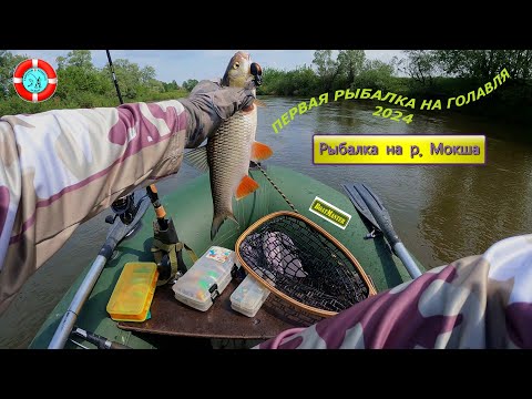 Видео: Первая рыбалка на голавля/сезон 2024
