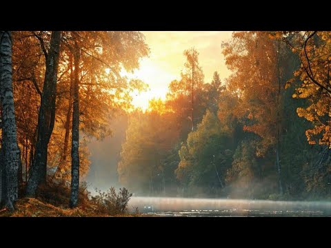 Видео: Осеннее танго.