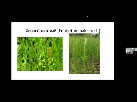 Видео: 5. «ТРИ ЦАРСТВА ЕСТЕСТВА» - 2     Международная конференция  10-11 октября 2025 г.