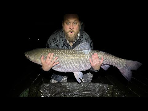 Видео: Охота на трофеную рыбу удалась! Амур ** кг в копилке 🎣🔥 Угадай вес в комментариях 👇