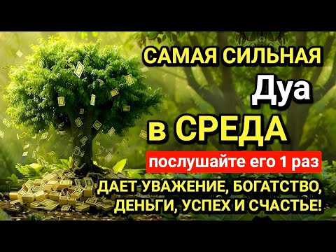 Видео: САМАЯ СИЛЬНАЯ Дуа в СРЕДА РАБИУЛЬ-САНИ!ДАЕТ УВАЖЕНИЕ, БОГАТСТВО,РИЗК, ДЕНЬГИ, УСПЕХ И СЧАСТЬЕ!