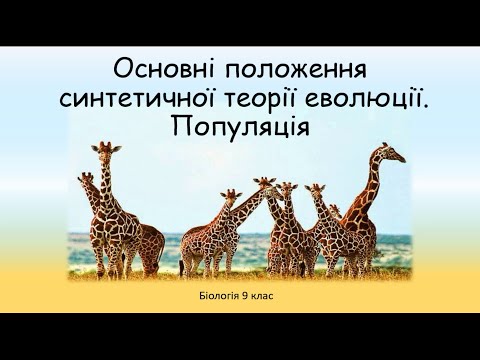 Видео: Біологія 9 клас. Синтетична теорія еволюції  Популяції