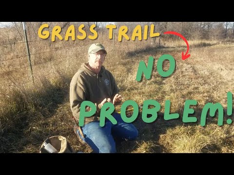 Видео: Отлов койота на травяной тропе #койот #отлов #рысь #сухая земля