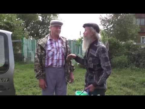 Видео: Шерстобитов Геннадий Павлович из села Урывки привёз мёд.