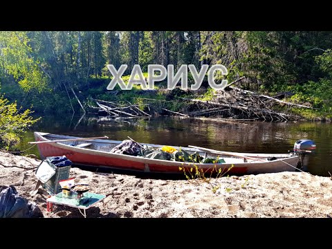 Видео: За ХАРИУСОМ на ракете. Хариуса от 3 кг отпускаем!! Russians go fishing