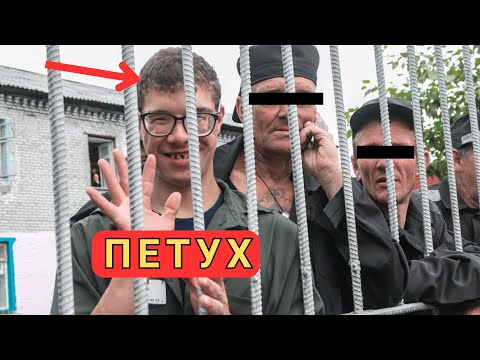 Видео: Как студент стал «ПЕТУХОМ» за одну ночь в СИЗО