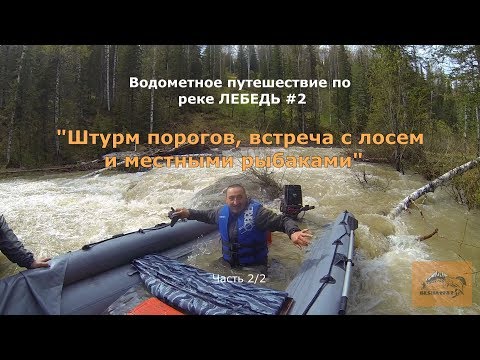 Видео: река Лебедь # 2/Штурм Порогов/Встреча с лосем и местными рыбаками/Лодка Выдра 480 jet + Tohatsu 50