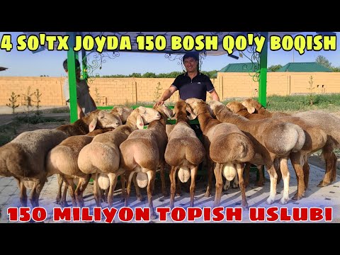 Видео: Куй бокиш 4 сотих жойда 150милион даромат топиш услуби