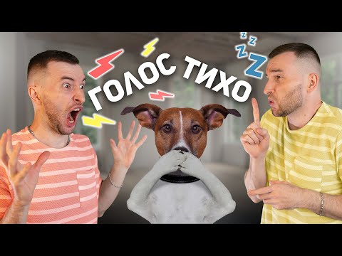 Видео: Научил Щенка Командам "Голос" и "Тихо"  за 5 минут / Тест \ 12 команд за 8 дней
