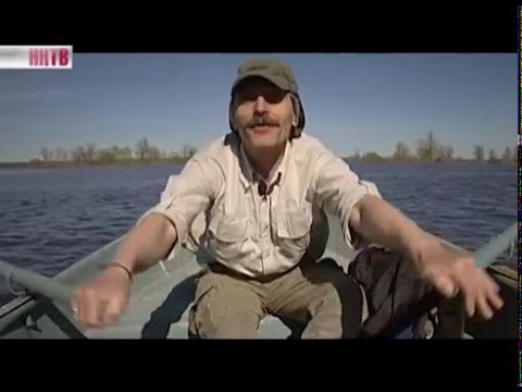 Видео: Сила Кориолиса