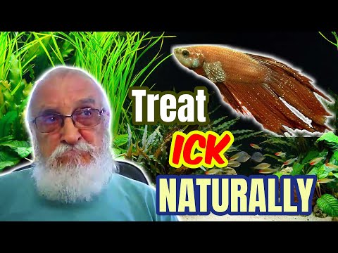 Видео: ЛЕЧЕНИЕ БОЛЕЗНИ ЕСТЕСТВЕННЫМ СПОСОБОМ