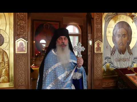 Видео: Спасутся ли африканцы и индусы?