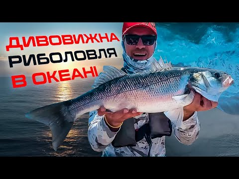 Видео: 🤩 НЕЙМОВІРНА РИБОЛОВНА ЕКСПЕДИЦІЯ В ПОРТУГАЛІЮ — подорож, яку не забути!