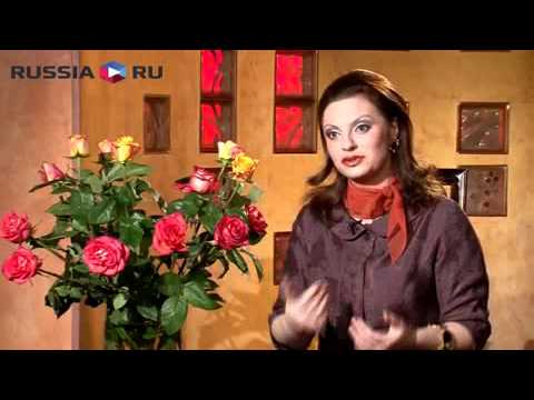 Видео: Законы цвета
