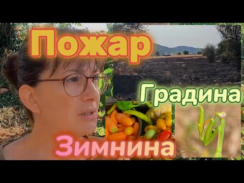 Видео: Далеч от града. Борба с огъня; Работа из градината; Зимнина; Замразени зеленчуци; Македонска салата.