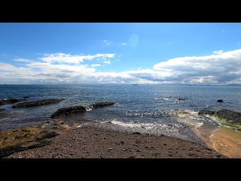 Видео: Tестирую Nokta Makro Simplex+ на пляже