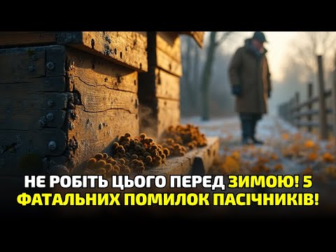 Видео: 5 страшних помилок перед зимівлею бджіл! Пасічники, не робіть цього восени!