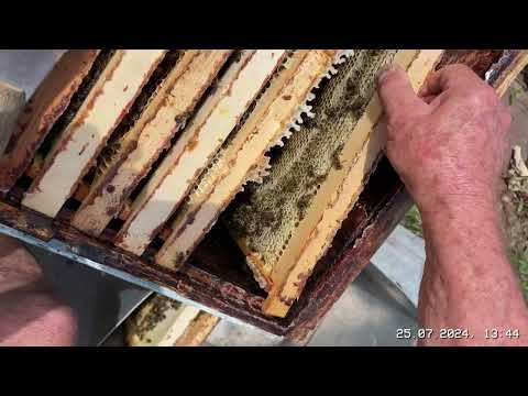 Видео: Главный взяток заканчивается