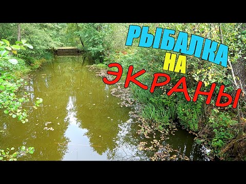 Видео: Рыбалка с женой! Что Поймаю В Новых Местах?
