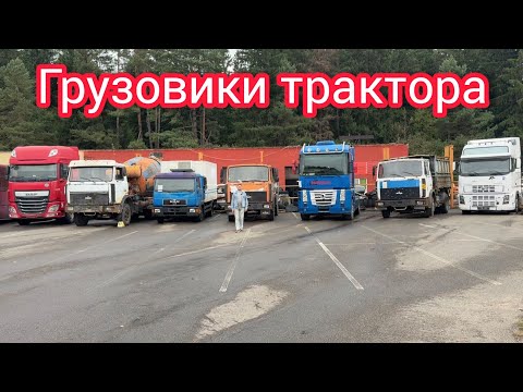 Видео: Грузовики трактора🔥 распродажа автоконфиската Минск