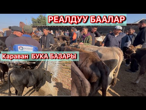 Видео: БУГУН БАШКАЧА БОЛДУ БАЗАР КАРАВАН БУКА БАЗАРЫ 4-Октябрь