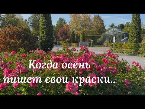 Видео: Очарование осени в Парке Садов 🌿 Продолжение 🌿Park der Gärten 🌿