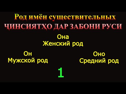 Видео: ҶИНСИЯТҲО ДАР ЗАБОНИ РУСИ! ГРАММАТИКАИ ЗАБОНИ РУСИ 1.