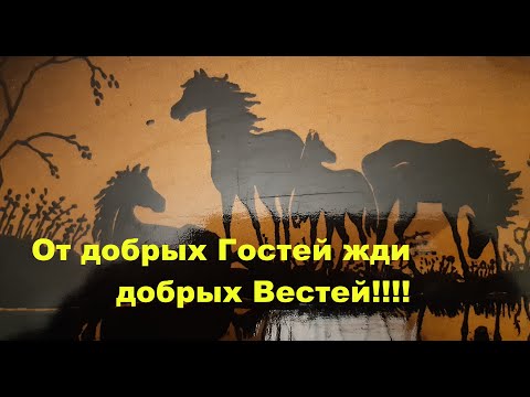 Видео: От добрых гостей жди добрых вестей