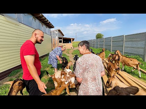 Видео: БАБУШКИ ПРИЕХАЛИ УЧИТЬ НАС ВЕСТИ ХОЗЯЙСТВО! НАША ФЕРМА! ЖИЗНЬ ПРОСТЫХ ЛЮДЕЙ В ДЕРЕВНЕ!