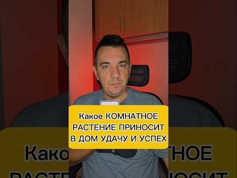 Видео: Какое комнатное растение приносит удачу и успех в дом?
