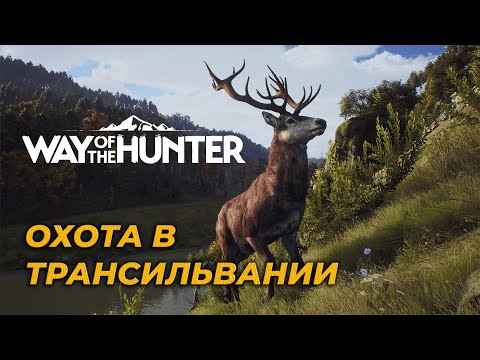 Видео: [СТРИМ] Way of the Hunter 🎮 РАЗМИНКА В НЕЗ-ПЕРС ПОТОМ ТРАНСИЛЬВАНИЯ ☛ #5
