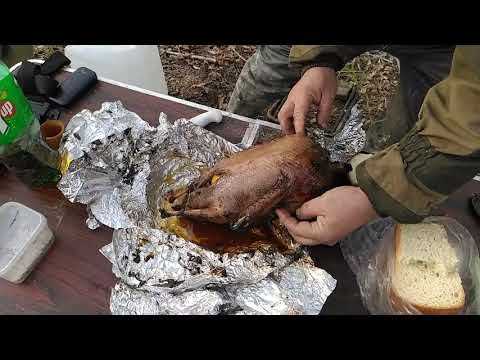 Видео: Дикий ГУСЬ   В   УГЛЯХ