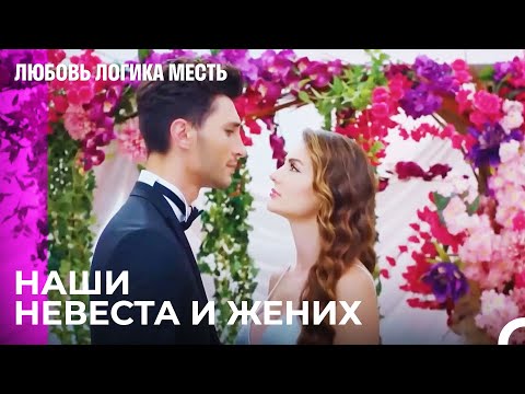 Видео: Любовь Многих Лет Перед Камерой -  Любовь Логика Месть