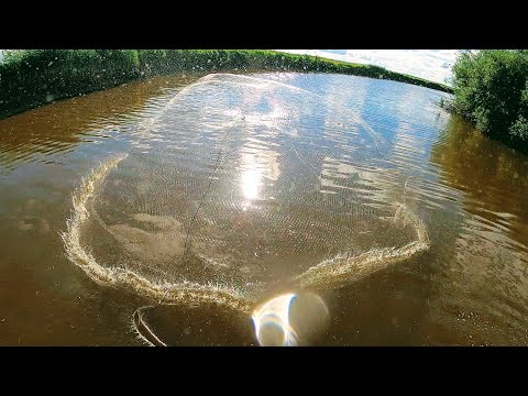 Видео: Рыбалка кастинговой сетью  с лодки. Нашли скопление крупной рыбы. Рыбалка 2021.