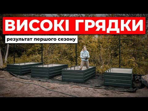 Видео: Що і як виросло на високих грядках в цьому сезоні ⁉️