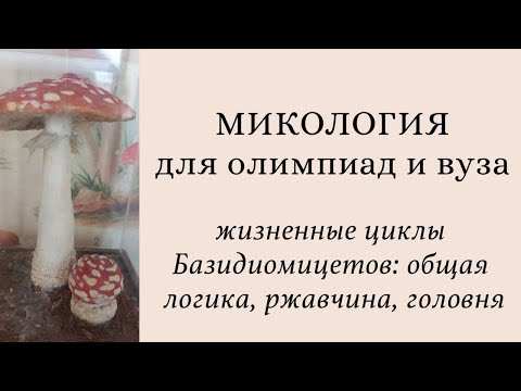 Видео: Микология для олимпиад и экзаменов | жизненные циклы Базидиомицетов: общее, ржавчинные, головневые