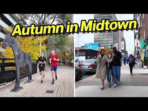 Видео: Мидтаун Торонто в осенних красках | Белтлайн-Трейл и Янг-стрит (ноябрь 2025 г.)