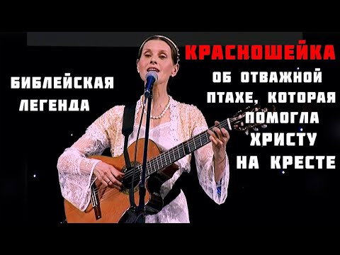 Видео: Библейская песня-легенда КРАСНОШЕЙКА. Автор-исполнитель  - Светлана Копылова. Душевная песня до слез