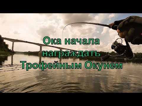 Видео: Отводной поводок на Оке | Ловля на Спиннинг с берега