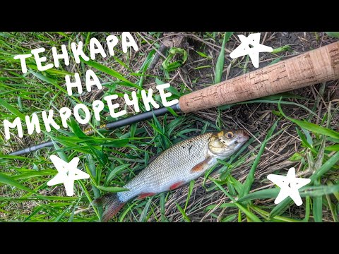 Видео: ТЕНКАРА x ЯЗЬ x МИКРОРЕЧКА #53