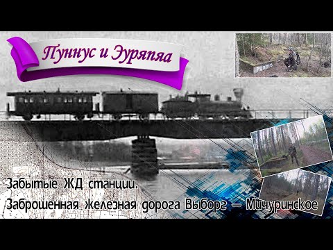 Видео: Забытые ЖД станции Пуннус и Эуряпяа. Заброшенная железная дорога Выборг-Вещево-Барышево-Мичуринское