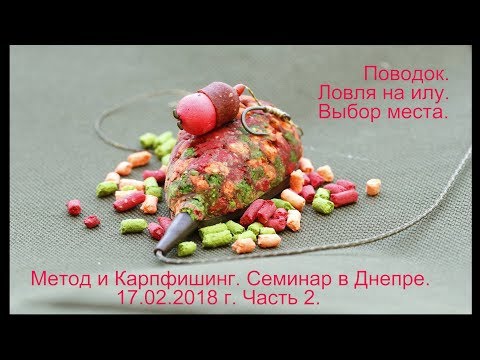 Видео: Флэт-Метод. Семинар в Днепре 17.02.2018 г. Часть 2.