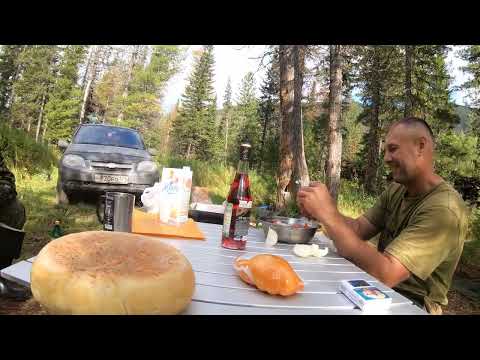 Видео: Река Черный Июс , республика Хакасия , рыбачим и отдыхаем с лучшими Друзьями , часть первая ( 4-ка)