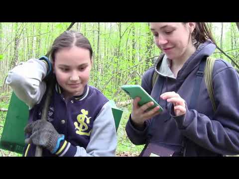 Видео: Установка ловушек для пчёл. Когда и как ставить ловушки для пчел.