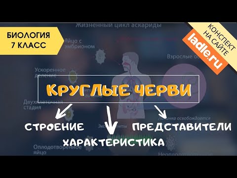 Видео: Тип Круглые черви. Паразиты. Биология 7 класс. Нематоды, строение Человеческая аскарида, острица ЕГЭ