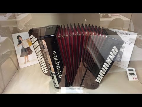 Видео: Лекция по конструктивным особенностям баяна. Миди системы.