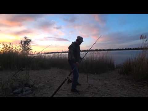 Видео: #27  Хороший Клев Рыбы Рыбалка с Берега на Реке Волге Ловля Голавля на Донку Закидушку